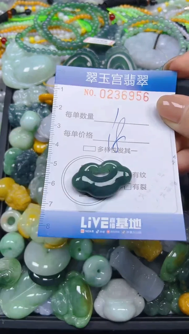 颈饰未镶嵌翡翠闪购C0236956