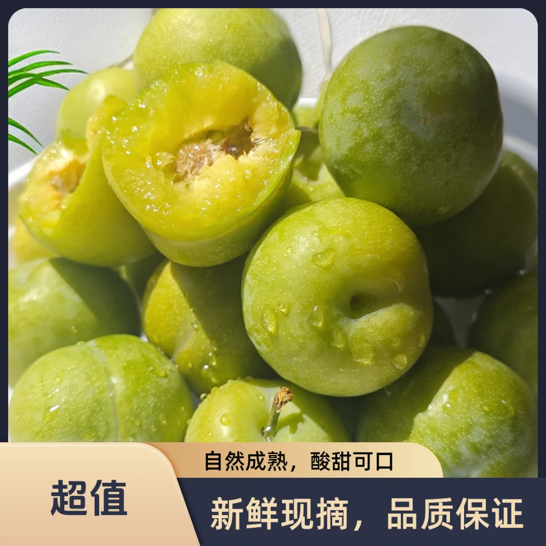 【正宗川渝青脆李特大果】树上成熟现摘现发脱骨脆甜颗颗精选