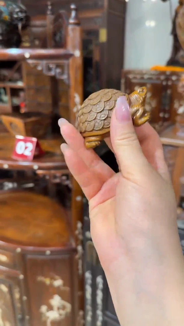 木木头款黄杨金钱龟把件68.8888