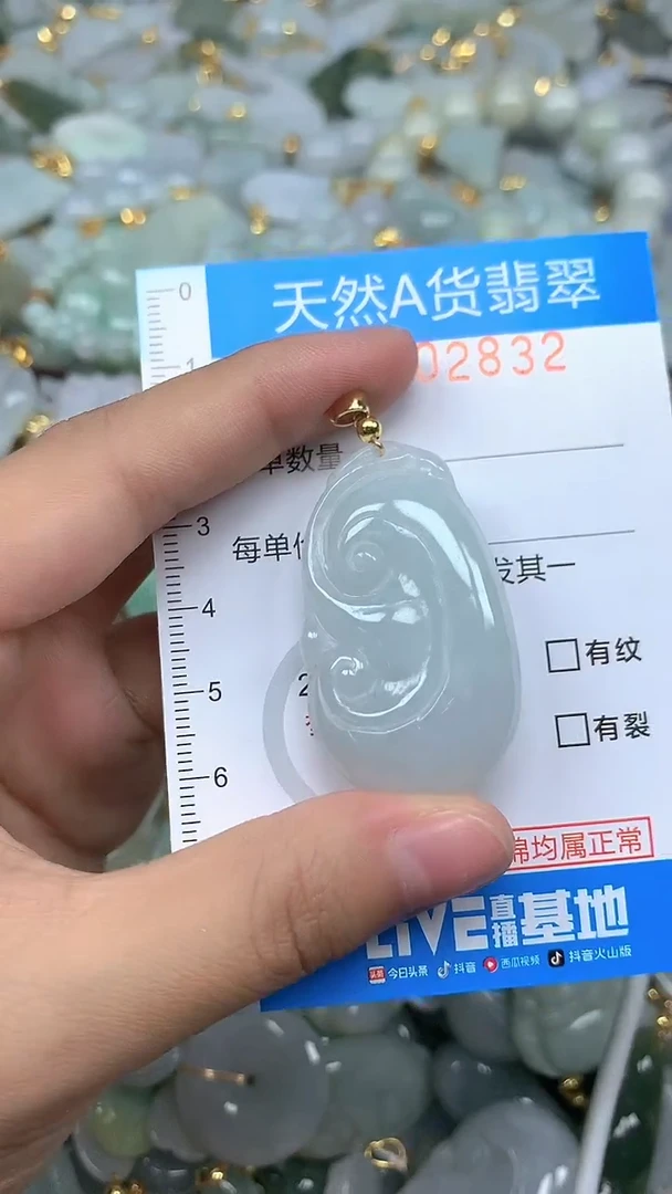 颈饰未镶嵌翡翠净货挂件-2832