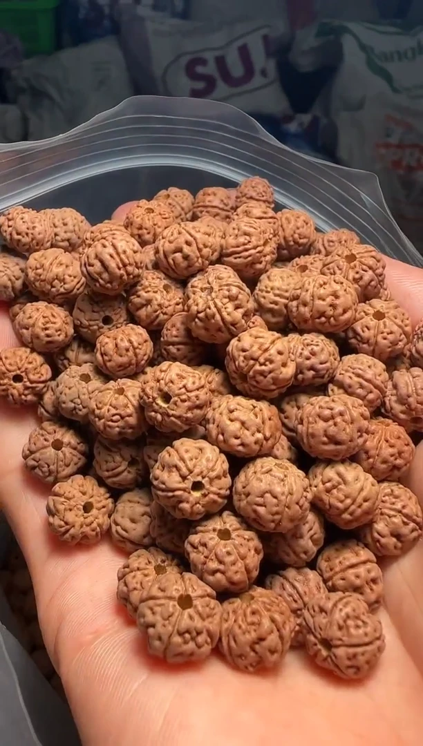手串金刚菩提非全品老树王散籽10-11mm一份一百颗