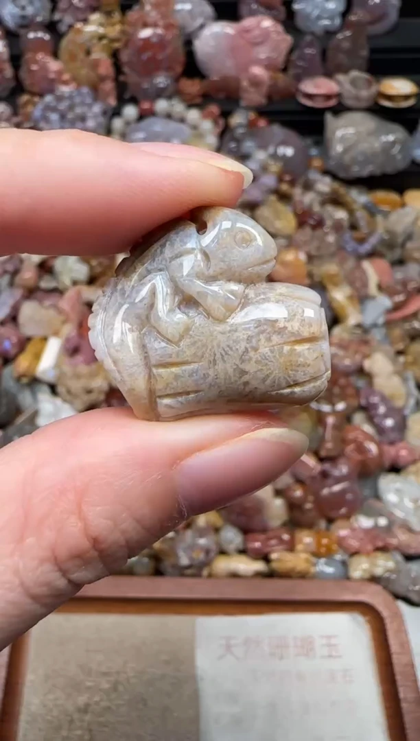 颈饰未镶嵌硅化珊瑚（珊瑚玉）016