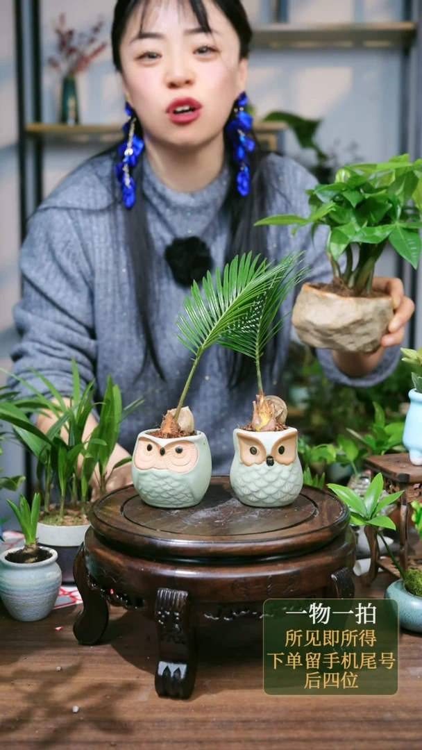 【闪购商品】209==3993发财树石头