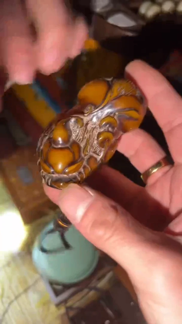 【闪购商品】蜜蜡颈饰未镶嵌闪购商品高端专用链接