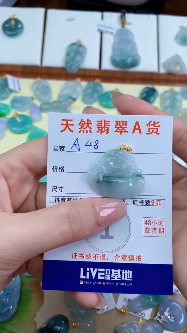 颈饰未镶嵌翡翠天然A货翡翠挂件