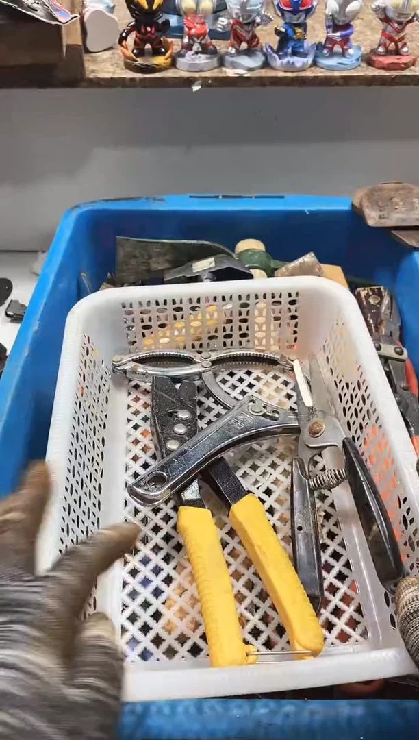 中*麻嘎子工具闪购链接一物一拍