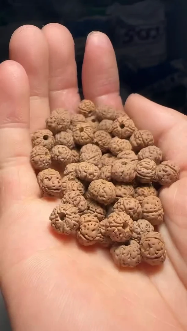 手串金刚菩提非全品老树王散籽8-9mm一份一百颗
