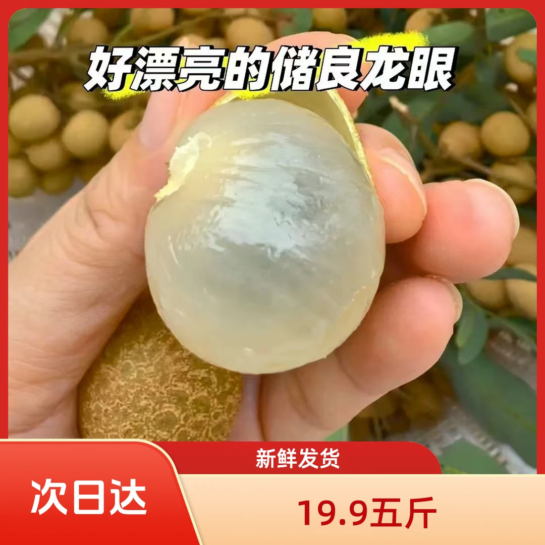 【次日达】四川产地新鲜石硖储良龙眼皮薄肉厚超甜桂圆果现摘现发