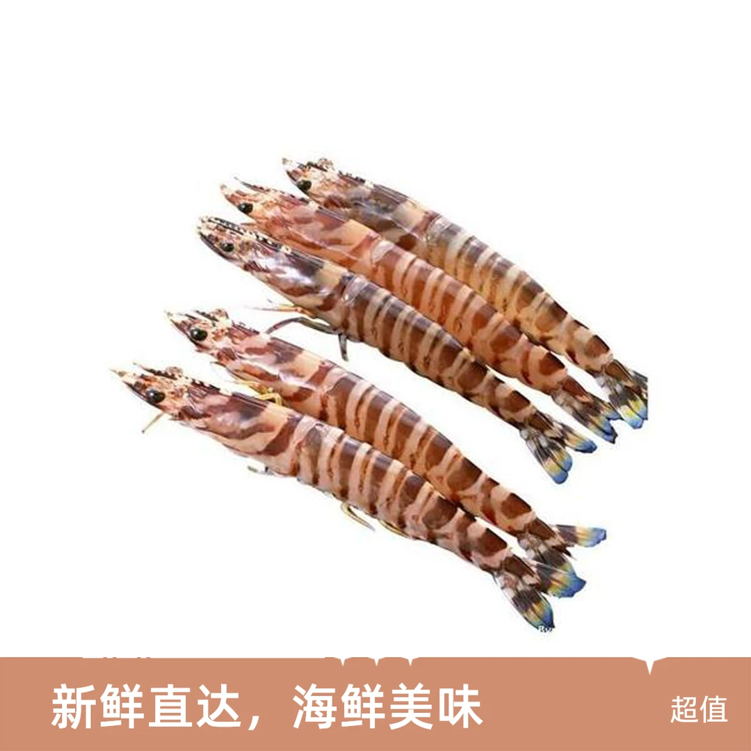 鲜活斑节虾现捞现称一物一拍（推荐）