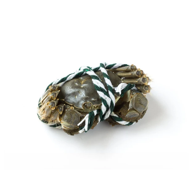 8只装包邮8只装包邮