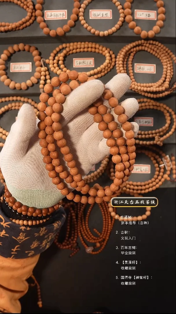 【闪购商品】五线菩提吊坠原皮脖挂