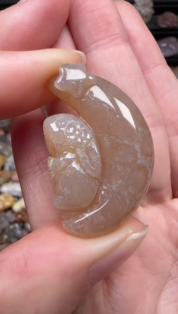 颈饰未镶嵌硅化珊瑚（珊瑚玉）658