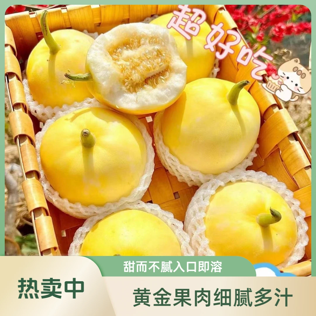 【次日达】宁夏张亮村头茬小蜜蜂甜瓜新鲜采摘应上市香甜脆爽香瓜5斤