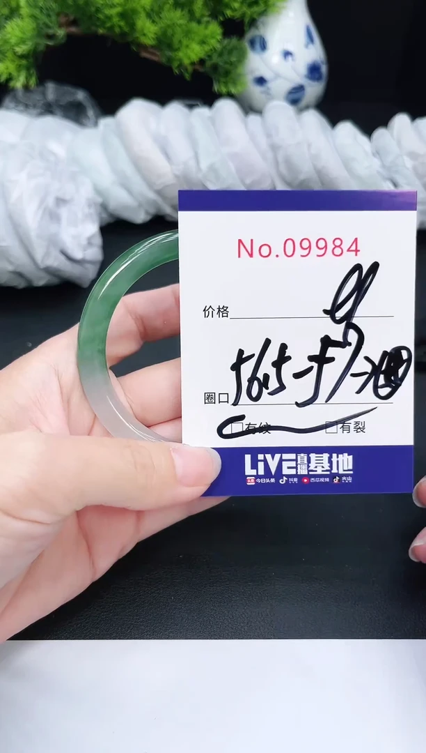 未镶嵌手镯翡翠9984
