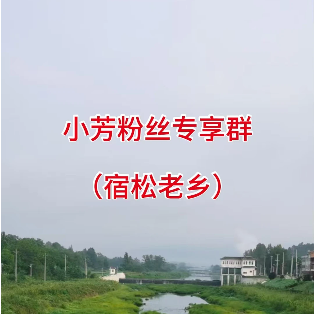 小芳粉丝专享群（宿松老乡专享链接）