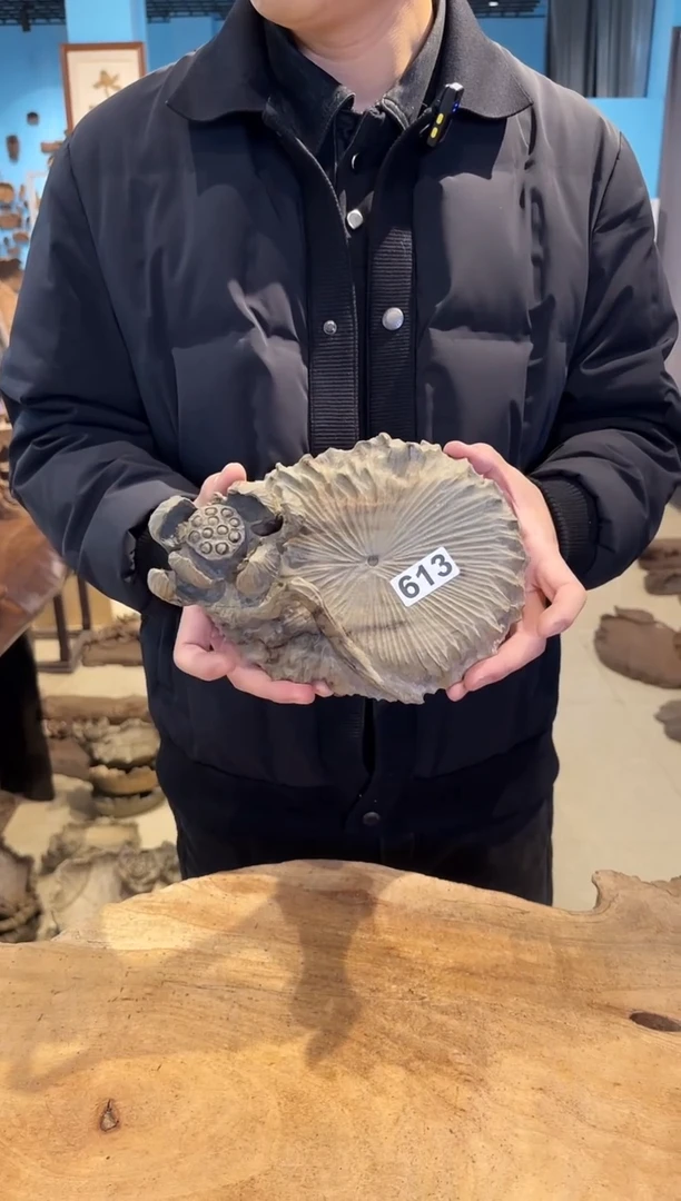 木613号乌木金丝楠壶承