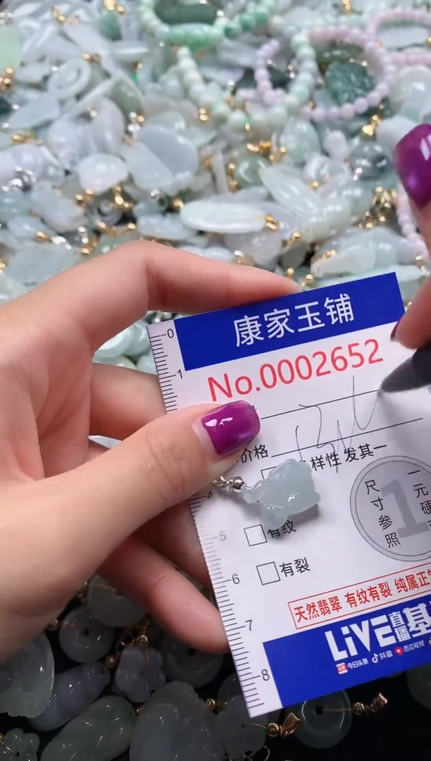 颈饰未镶嵌翡翠2562