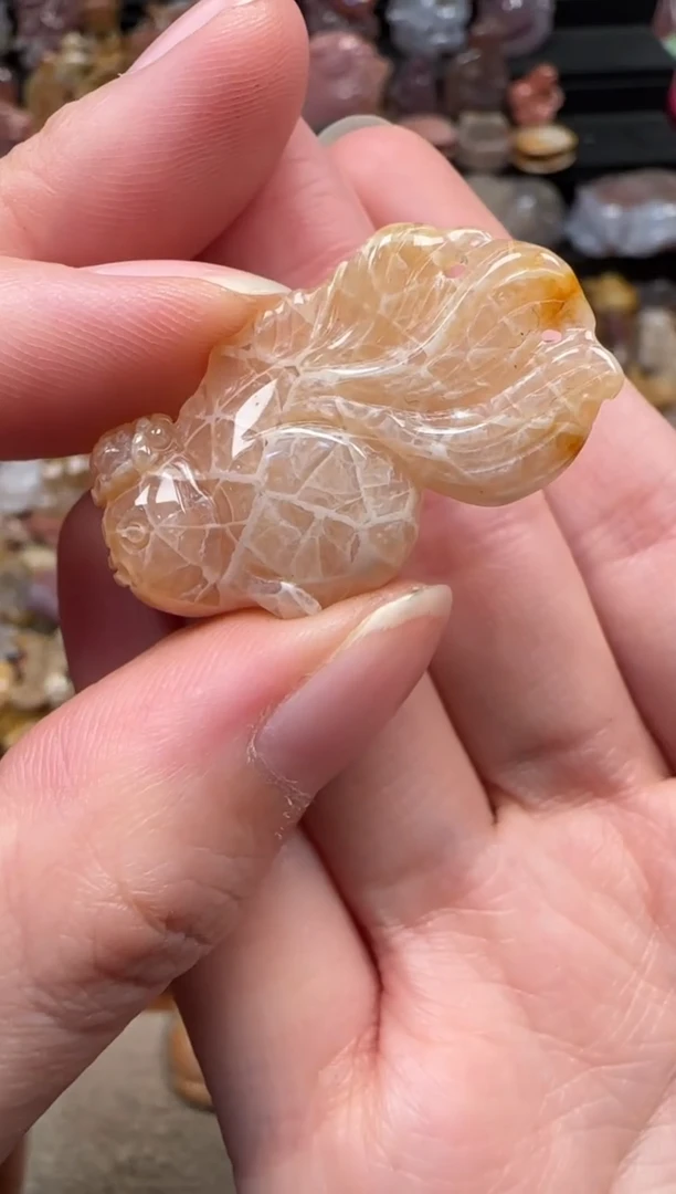颈饰未镶嵌硅化珊瑚（珊瑚玉）393