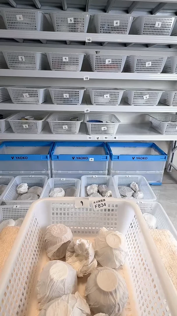 瓷片影*834默认微瑕