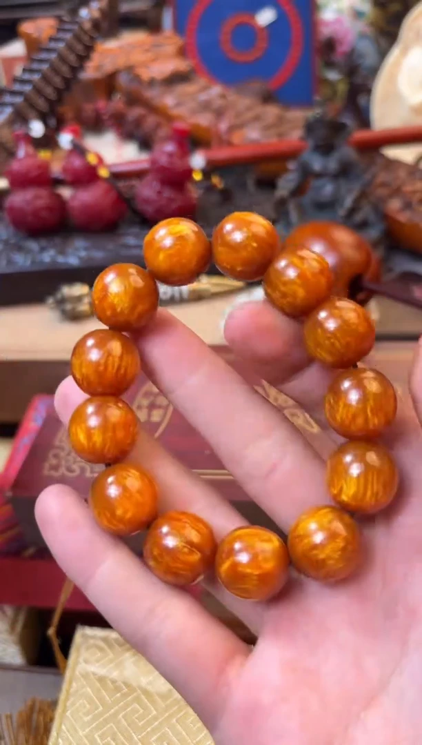 金丝楠——————————————1