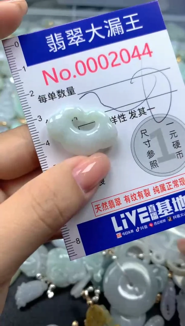 颈饰未镶嵌翡翠2044