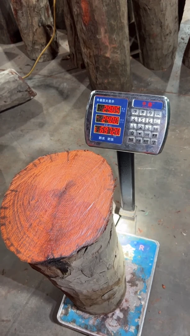 紫檀木类端景台無*赞比亚血檀 非洲紫檀