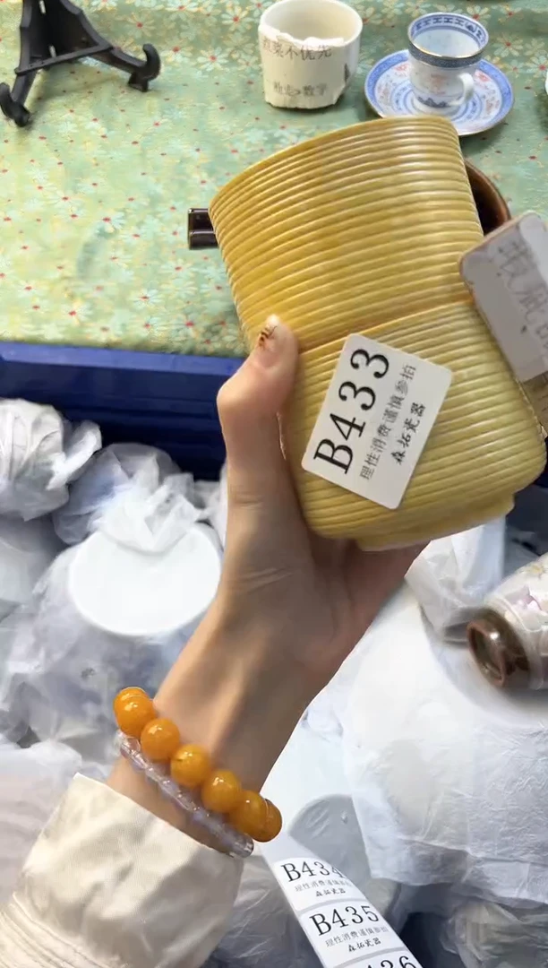 【闪购商品】瓷片          B433