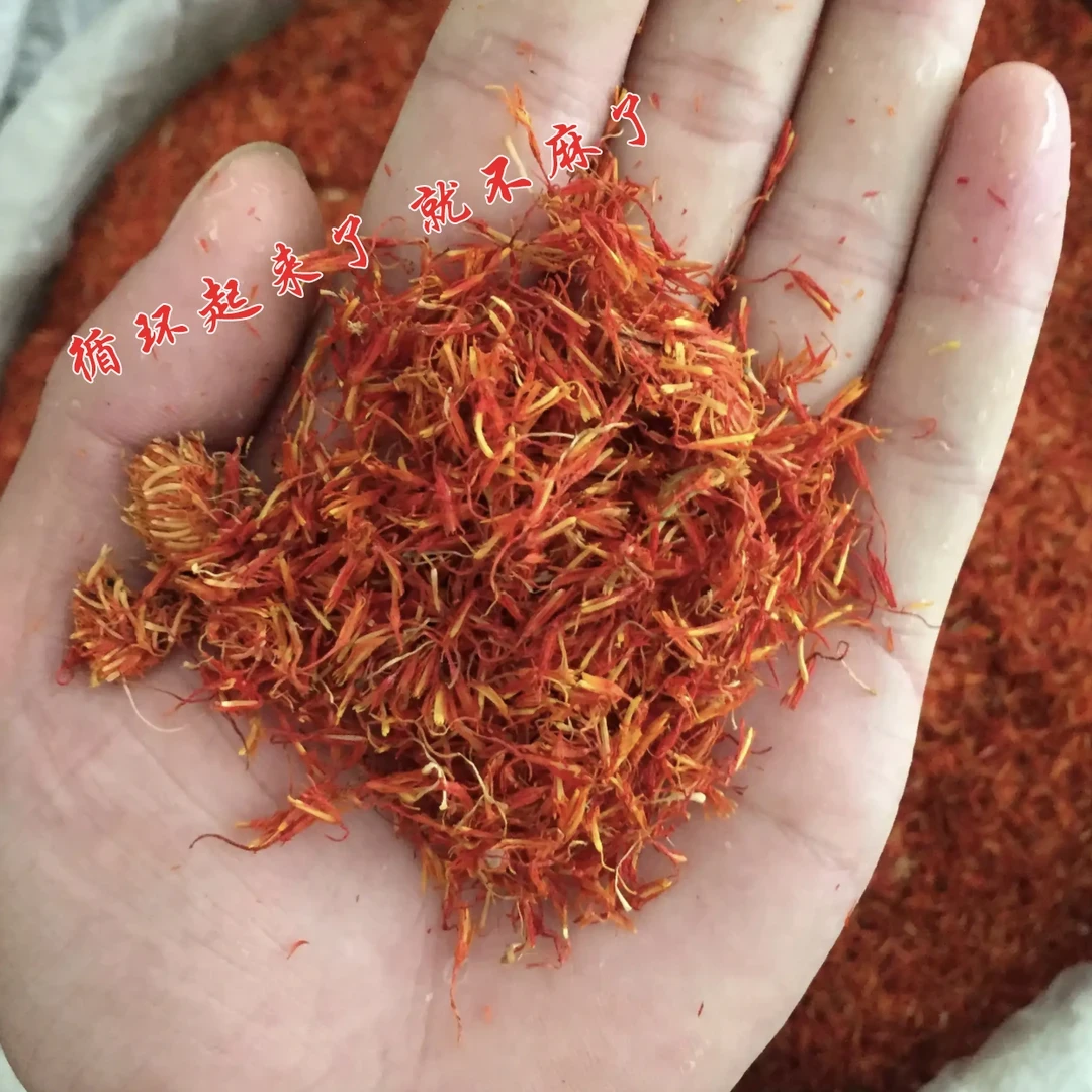 张正带你逛中原早市【红花】