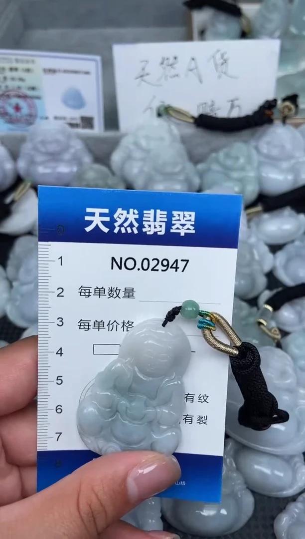 颈饰未镶嵌翡翠纯天然A货翡翠2947