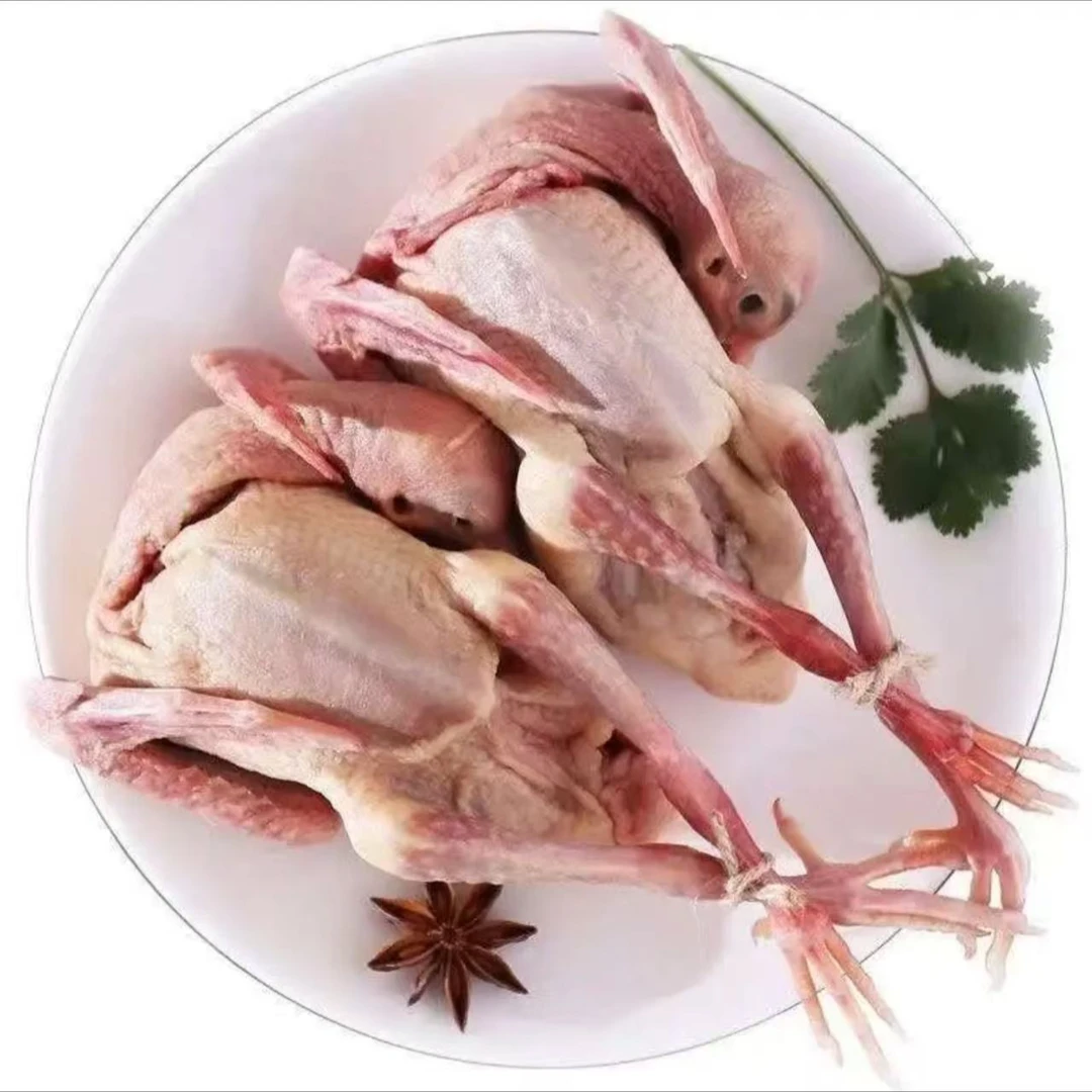 湖北广水农家散养土鸽子每只净重6两以上 顺丰或京东冷链