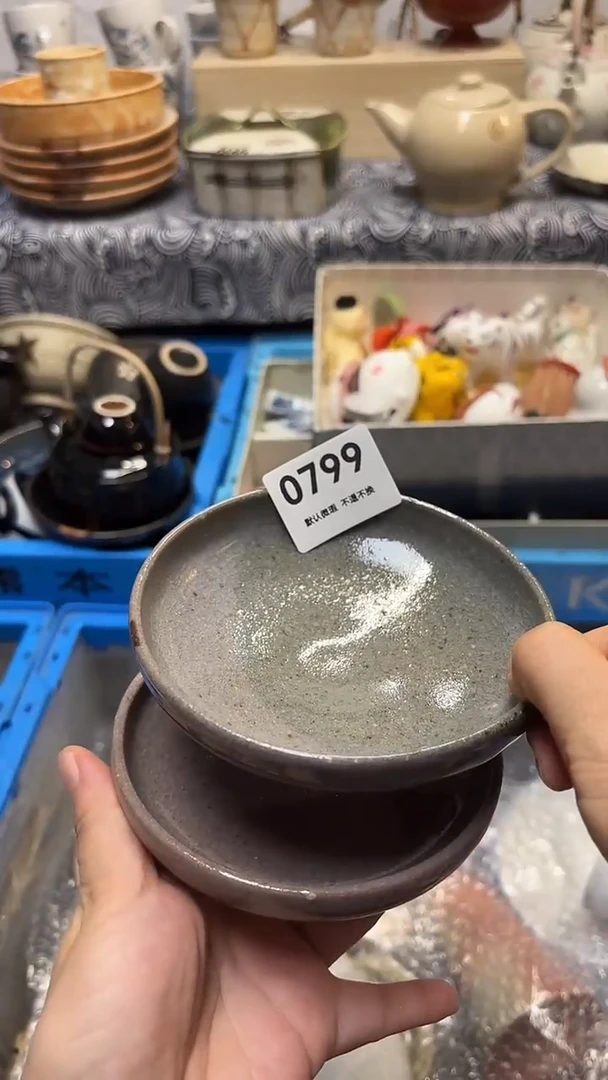 瓷片白*喵喵家都是大漂亮