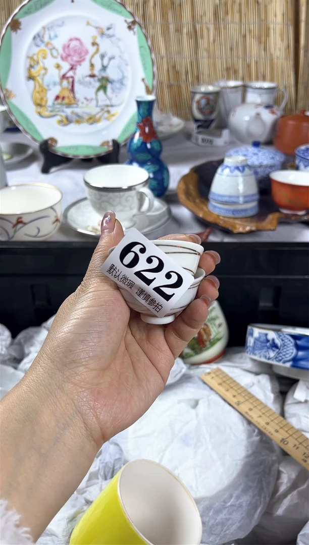 【闪购商品】碟             622