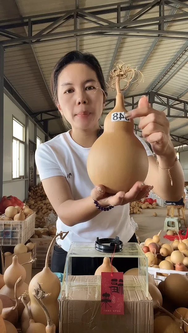 无花朵948天然葫芦摆件 一物一拍龙头不保售后