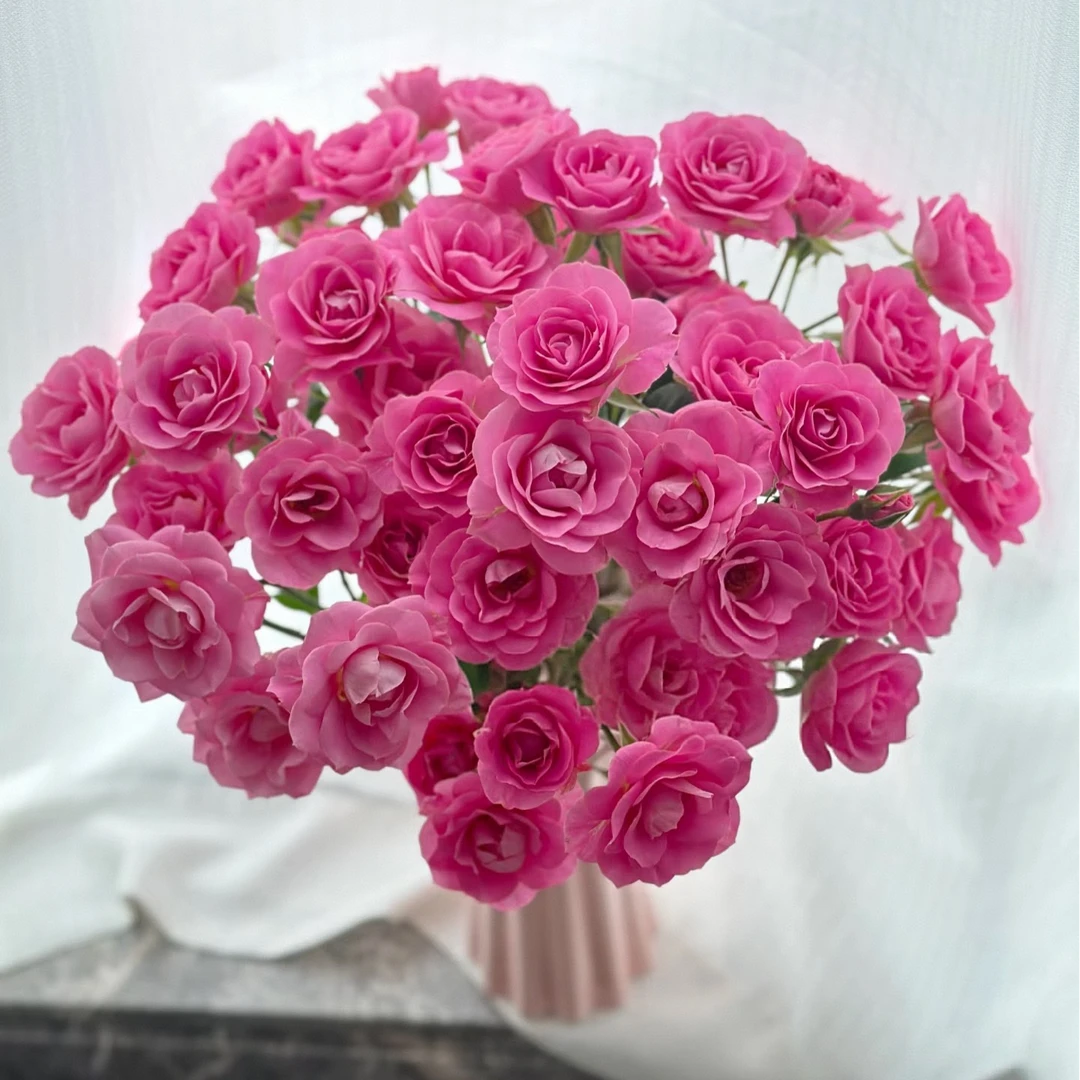 【独鬏鬏优选】A级鲜花 [恋恋笔记] 稀有多头玫瑰 瓶插装饰鲜活采摘