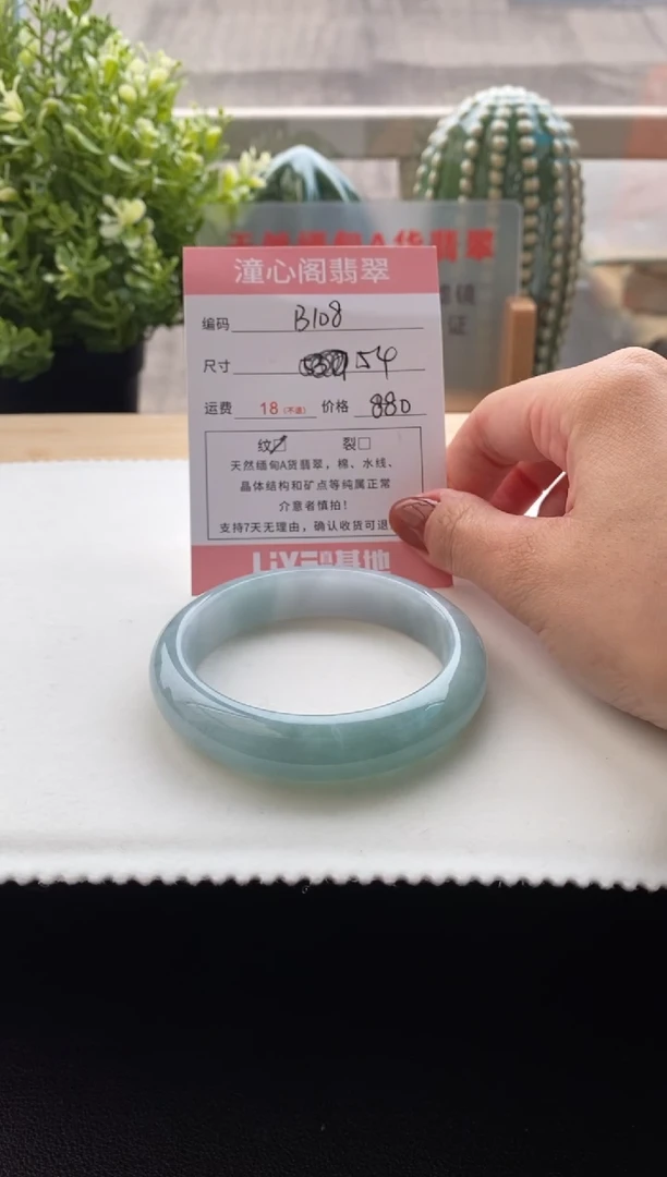 未镶嵌手镯翡翠54圈口 编码 B108