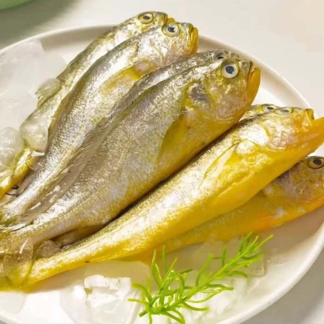 【顺丰快递】新鲜深海野生小黄花鱼10-12条左右/一斤海鲜深海鱼5斤