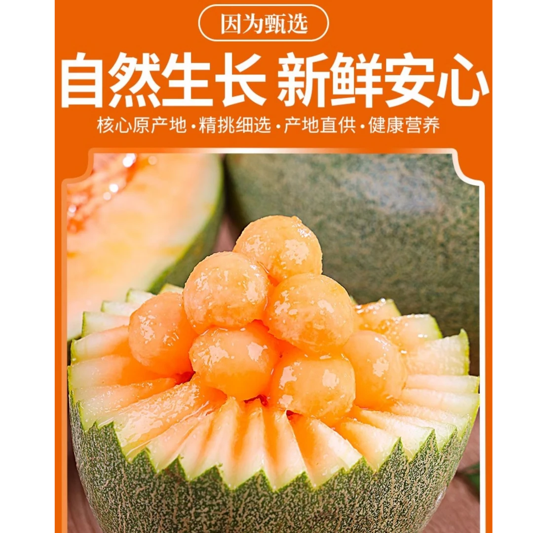 【塞外仙】正宗吐鲁番哈密瓜