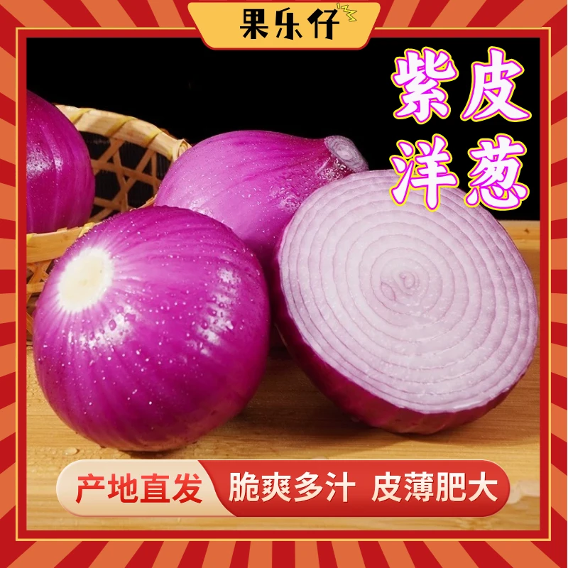 【现摘现发】紫红皮洋葱水果圆葱紫皮新鲜现挖现发洋葱头批发农家