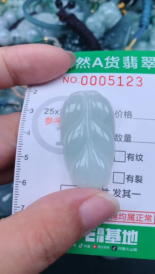 翡翠未镶嵌颈饰.0005123