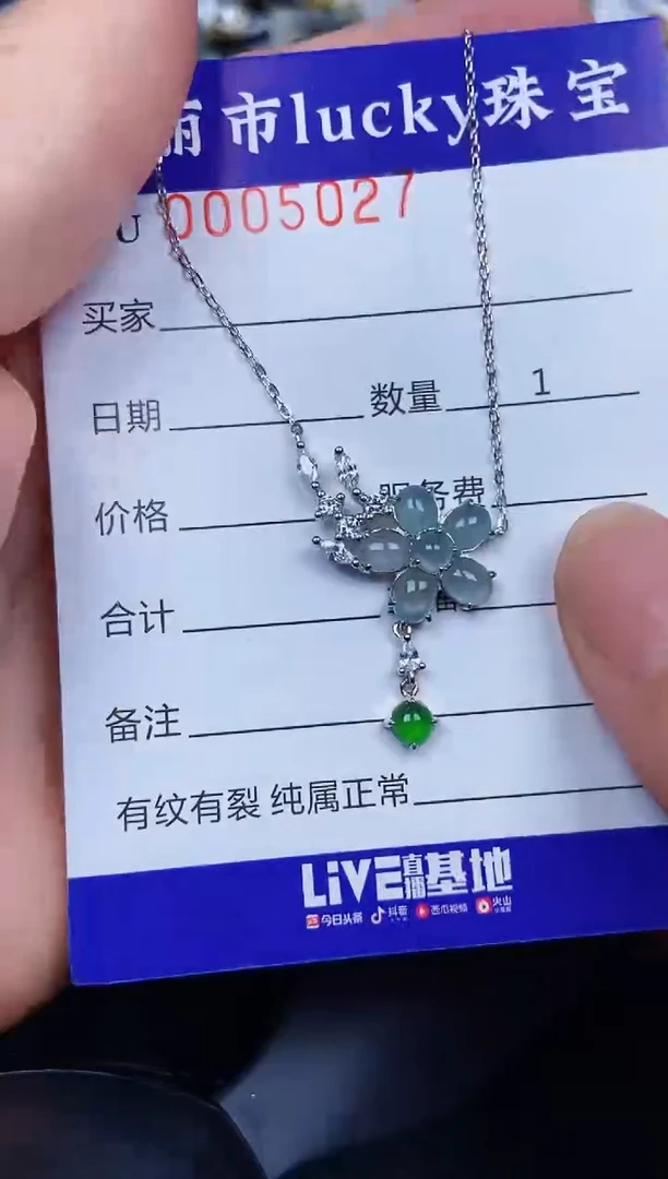 翡翠银S925镶嵌颈饰5027