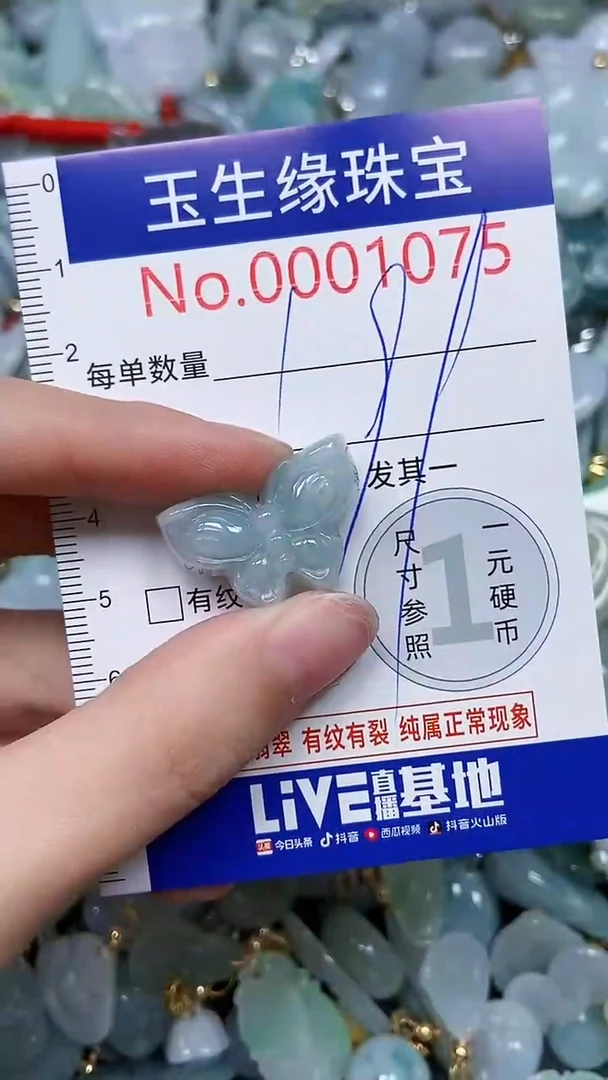 【闪购商品】翡翠颈饰未镶嵌闪购00001075