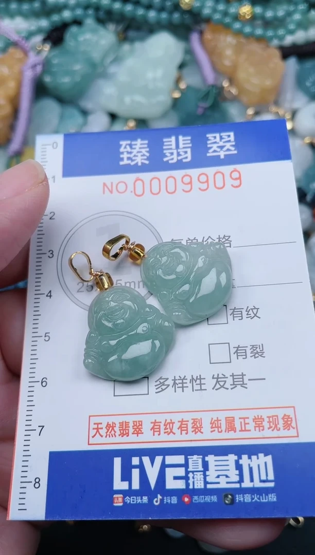 翡翠未镶嵌颈饰.0009909