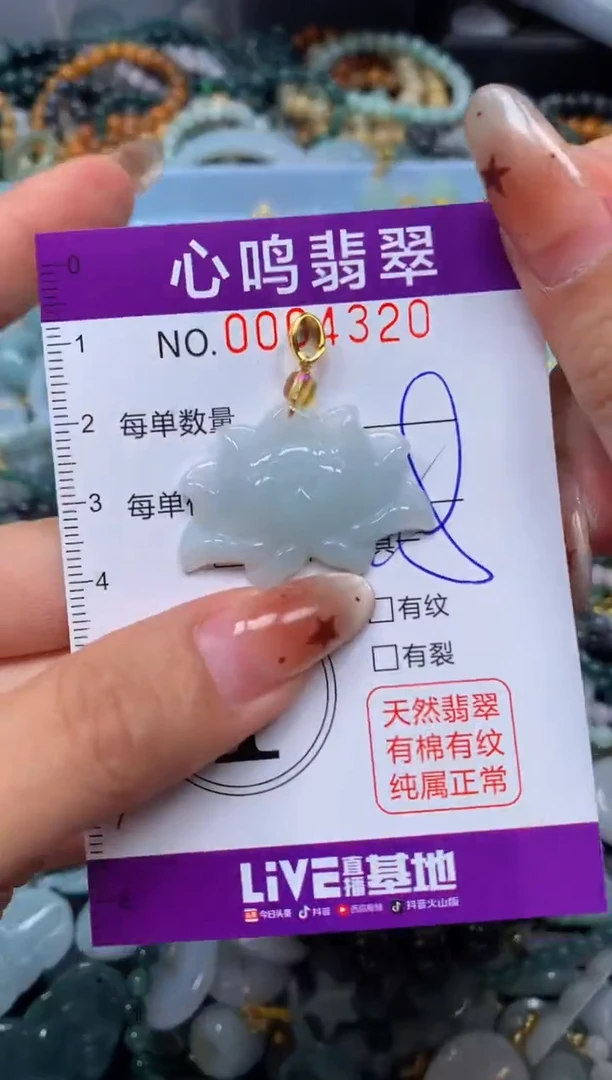 翡翠未镶嵌颈饰闪购004320