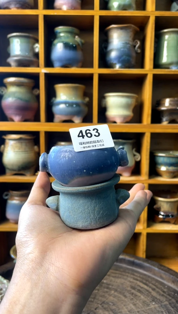 463【多肉花盆多肉盆】