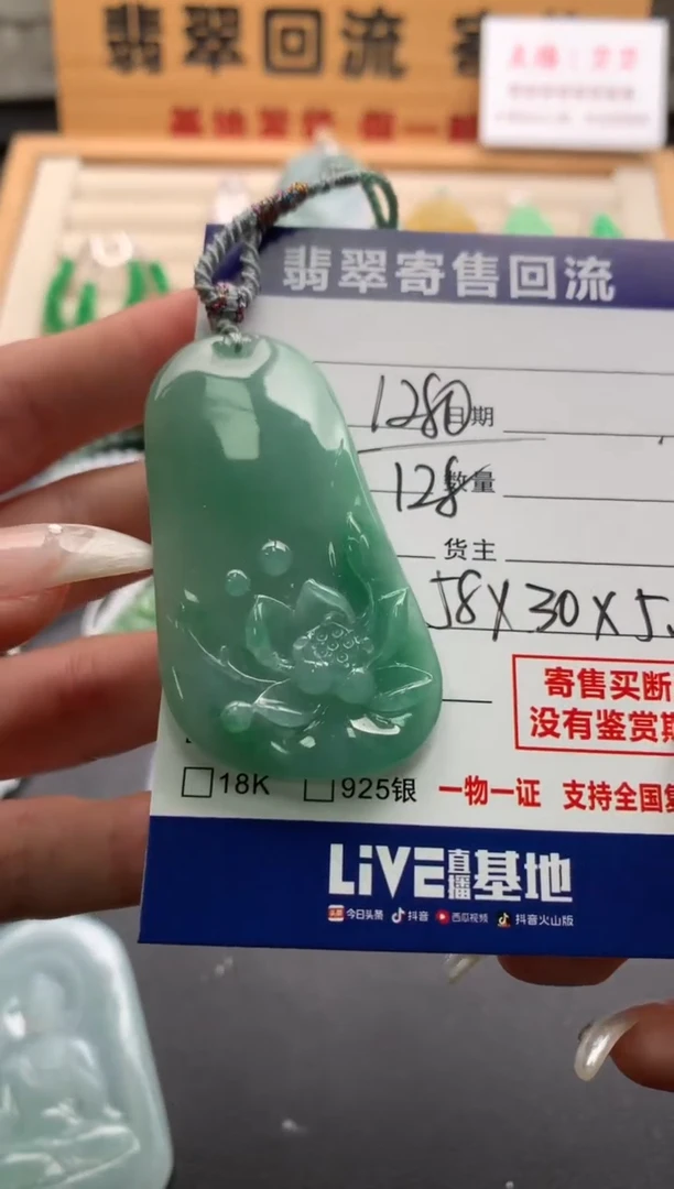 翡翠未镶嵌颈饰10138749