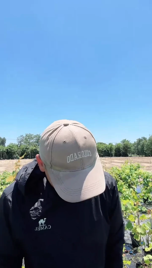 摩尔多瓦 一物一拍 GSC088