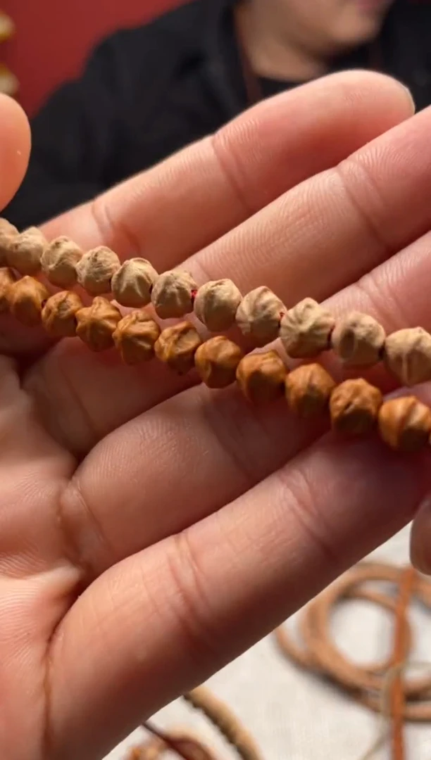 手串柏香籽/百香籽甘孜百香横打24