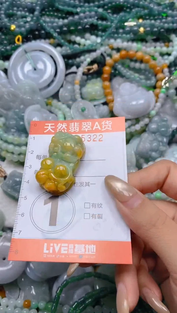 颈饰未镶嵌翡翠闪购0005322