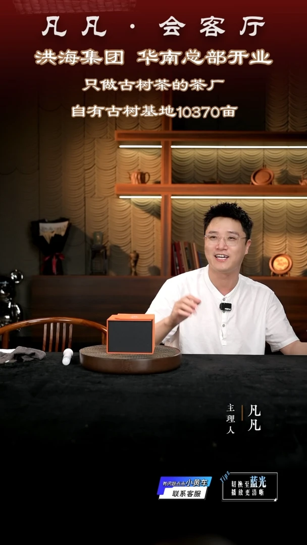 茶壶紫砂凡凡会客厅 紫砂壶04