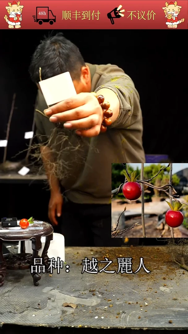 无花朵重***9/300顺丰到付/251210/3/越之麗人